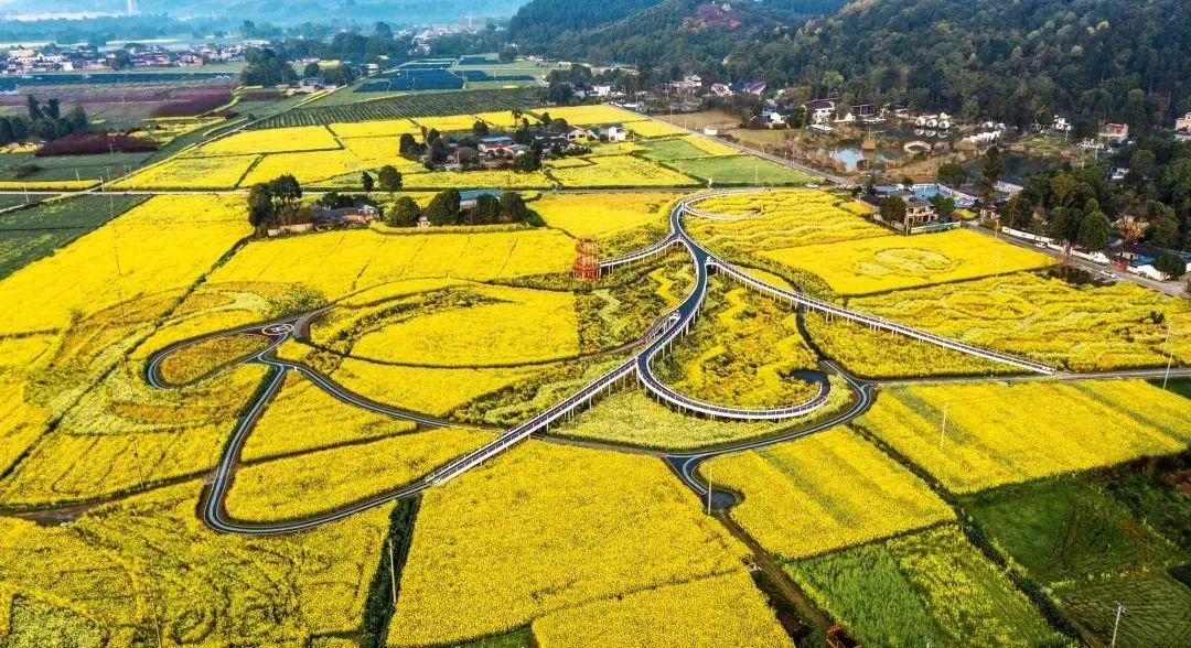 大邑春天国际美食_大邑县春天国际_大邑春天国际食府电话