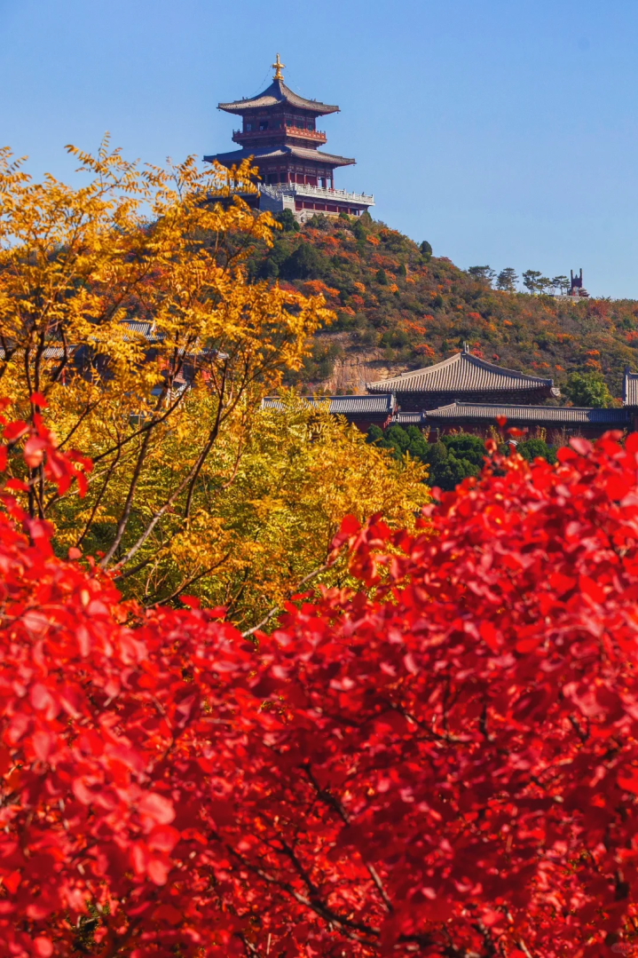 晋阳饭庄必点菜_晋阳点心_晋南点心