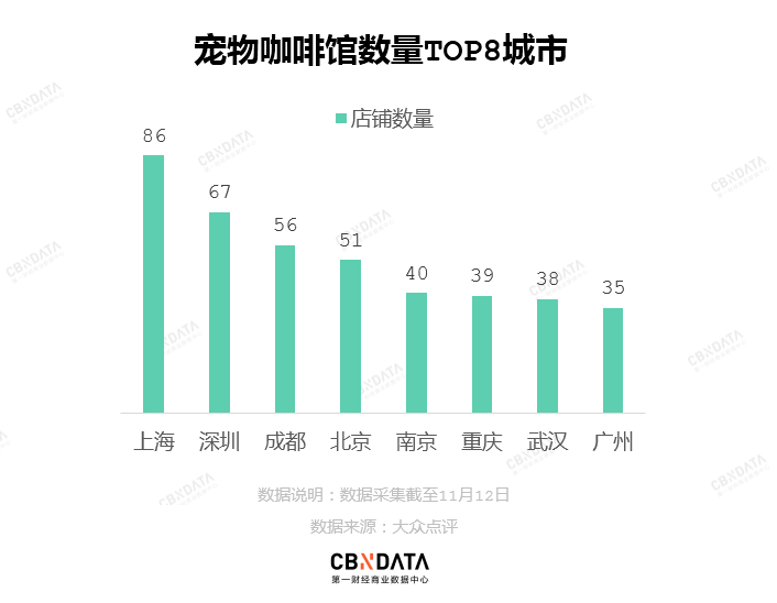 武汉的猫咖_武汉哪里有猫咖啡厅_武汉有猫的咖啡店